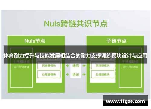体育耐力提升与技能发展相结合的耐力支撑训练模块设计与应用