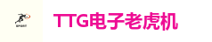 TTG电子老虎机